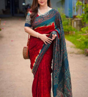 Premium Silk Saree - TS-6018
